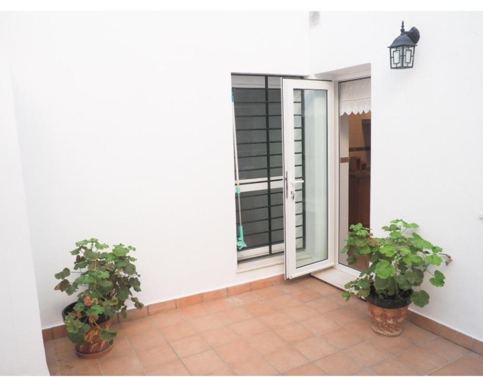 Conilplus Apartment Castilnovo Conil De La Frontera Ngoại thất bức ảnh